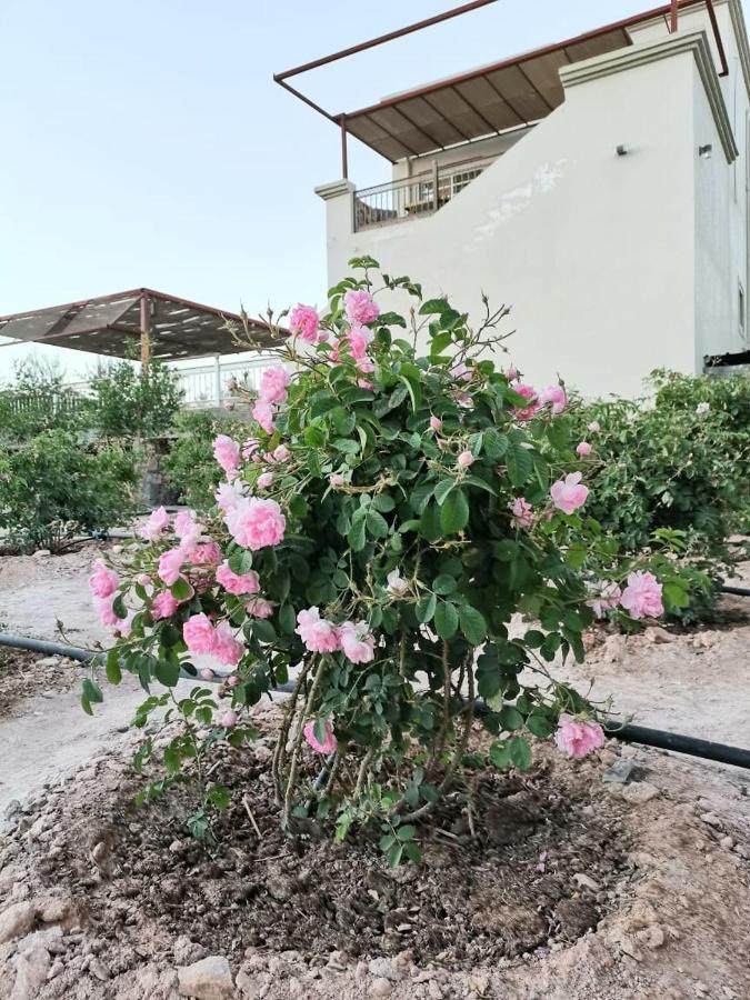 Al Romaan Villa Sayq Luaran gambar